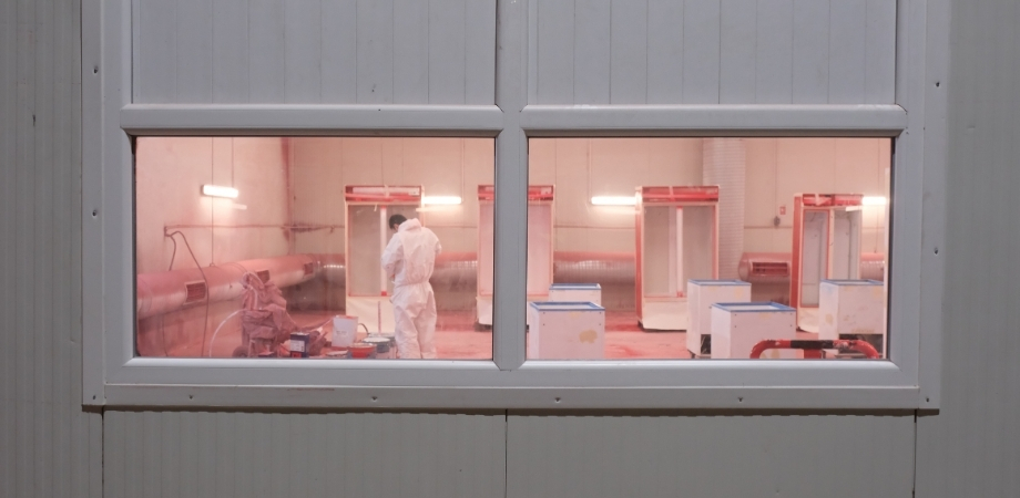 Boya ve Kalite Kontrol Süreçleri
